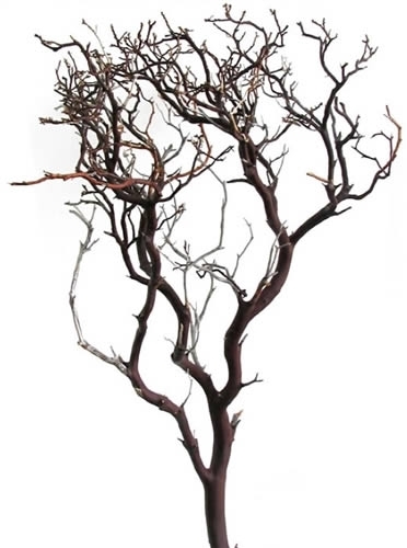 Sandbasted Manzanita Bird Perches - Manzanita Bird Trees